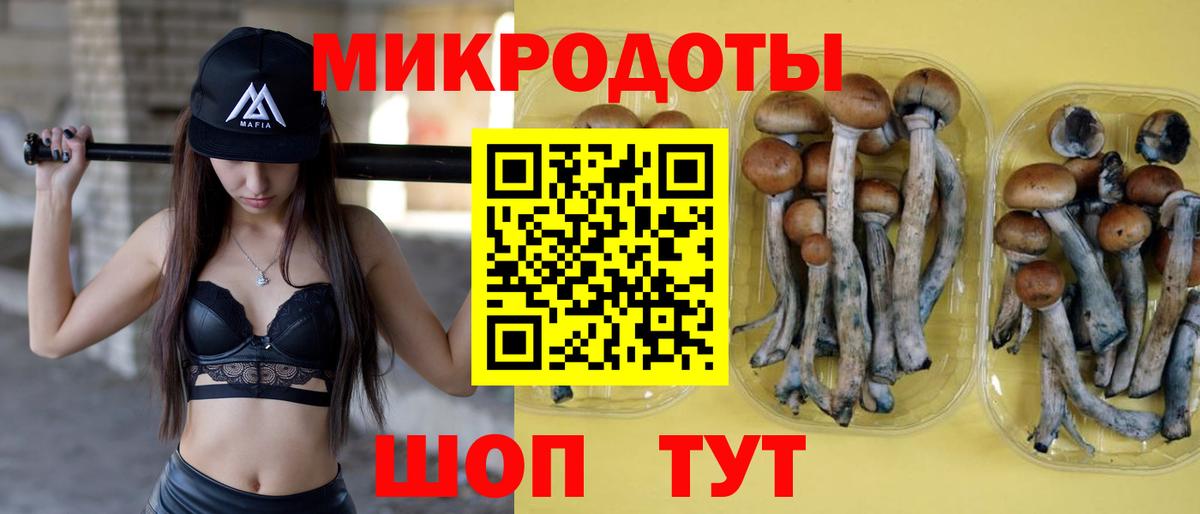 где купить наркотик  Псилоцибиновые грибы прущие грибы  Вход с VPN  Сергиев Посад 